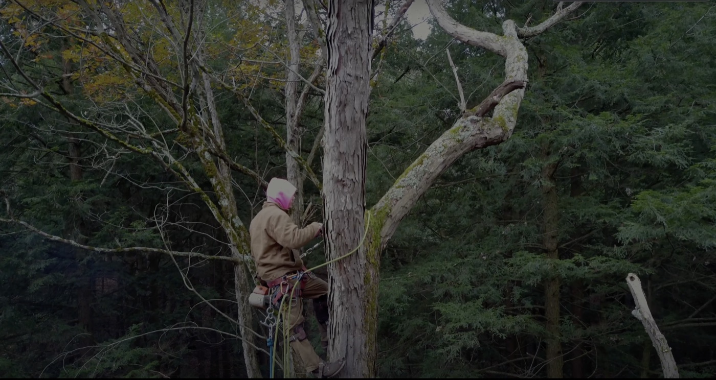 Drone & UAS Commercial Forestry Shoot